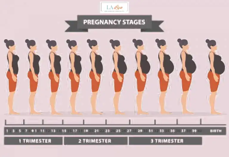 First Trimester (Weeks 1–12): Early Changes You Might Not Notice Greater London (City of London)